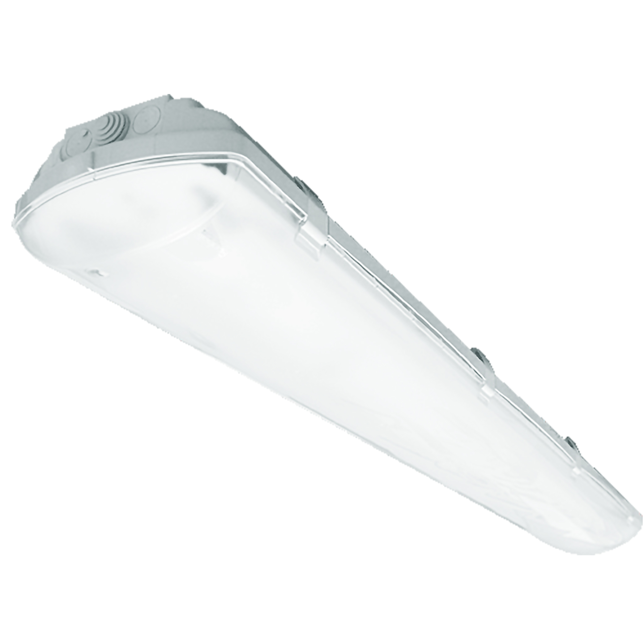 ILLUMINA BS100 LED EXTREME